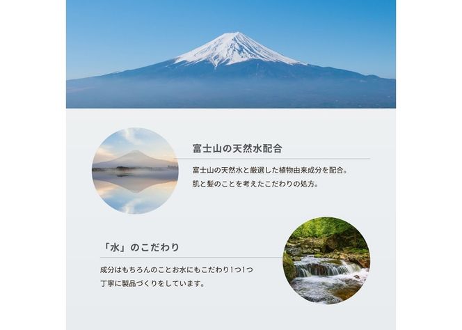 【富士山の天然水配合】 ボタニカルヘアトリートメント 2本セット サロン ヘアケア トリートメント セット 美容室 ギフト 山梨 富士吉田