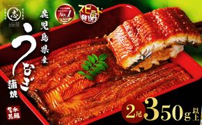 【志布志市制20周年記念】【10営業日以内に発送】鹿児島県産うなぎ蒲焼 名水慈鰻 2尾（1尾あたり140～210g・計350g以上） a3-236