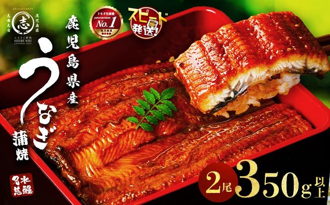 【志布志市制20周年記念】【10営業日以内に発送】鹿児島県産うなぎ蒲焼 名水慈鰻 2尾（1尾あたり140～210g・計350g以上） a3-236