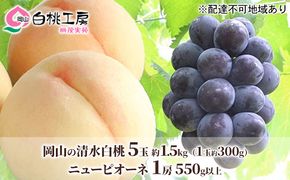 桃 ぶどう 2026年 先行予約 清水白桃 5玉 約1.5kg（1玉約300g） ニューピオーネ 1房 550g以上 白桃 もも 葡萄 ブドウ ピオーネ 詰合せ 岡山県産 国産 フルーツ 果物 ギフト 桃茂実苑 果物類 