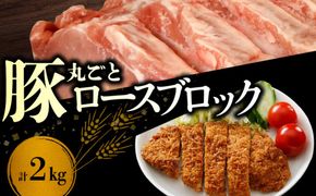 【北島麦豚】ロースブロック丸ごと ２kg_Y049-0061