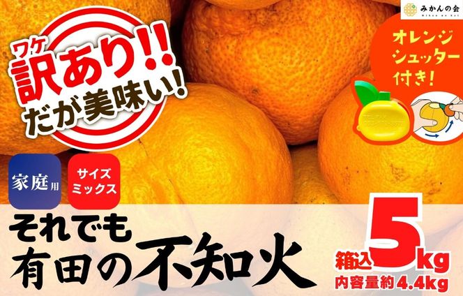 不知火 訳あり それでも 有田の不知火 箱込 5kg(内容量約 4.4kg) サイズミックス 和歌山県産 産地直送 【みかんの会】	AX144