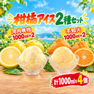柑橘アイス2種セット 1000ml×各2個(計4個)【 不知火 】【河内晩柑】 冷凍 みかん 旬 農家直送 特産品 さっぱり 大人 旨味 アイス ジェラート シャーベット ソルベ アイスクリーム ランキング 人気 業務用 大容量 ホームタイプアイス ファミリーサイズ 家庭用 みかん 柑橘 かんきつ 不知火 デコポン ぽんかん 冷凍 冬 夏 みかん職人武田屋 愛媛県 愛南町