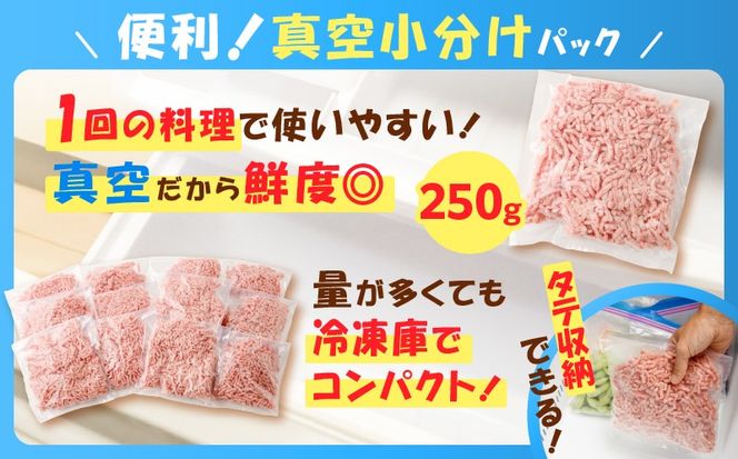 ＜容量選べる！＞鹿児島黒豚ミンチ 500g～3kg　K025-013