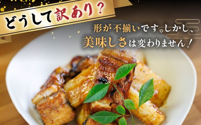 yszy10cƓȓɔzȂ1󂠂Zbg@K019-006