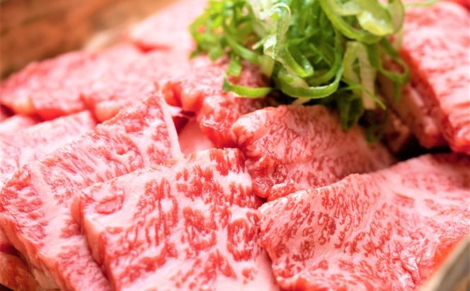 博多和牛 焼肉用 500g