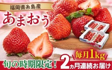 【全2回定期便】【2024年2月上旬より順次発送】糸島産【春】 あまおう 4パック 計1kg 糸島市 / 南国フルーツ株式会社 [AIK026]