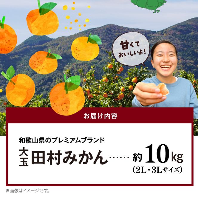 AB7302_ 【2026年先行予約】大玉田村みかん 2L・3Lサイズ 秀品 約10kg _ 和歌山プレミアムブランドみかん 大粒有 大きい 蜜柑 ミカン フルーツ 果物 ギフト お歳暮