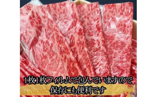 【一週間以内発送】A5等級 未経産雌限定 特撰近江牛肩ロース すきやき 500g【FO14W】