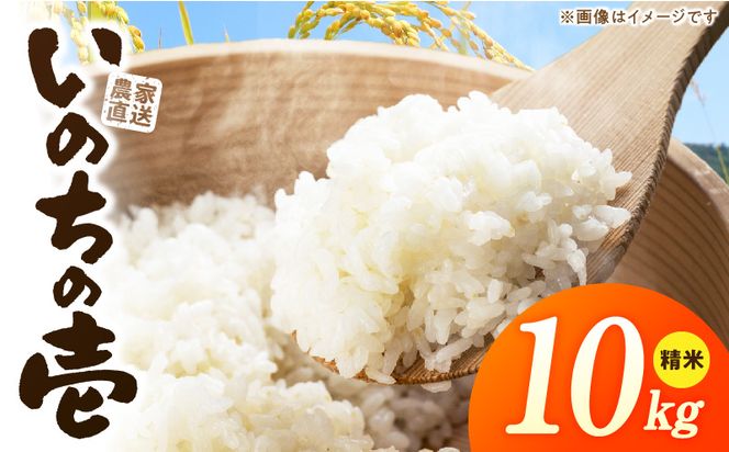R7年産　「いのちの壱」（10kg）＜農家直送＞ ［208K10］ 希少米 10kg 米 精米 白米 ご飯 国産 産地直送 甘い 粘り強い もちもち お取り寄せ こだわり米 愛知県 小牧市 送料無料