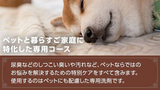 ＼選べるサイズ／宅配 絨毯 クリーニング チケット │  ペットファミリーコース 宅配 クリーニング 洗濯 洗浄 清潔 じゅうたん ラグ カーペット 丸洗い マット ニオイ対策 大掃除 ダニ 対策 敷物