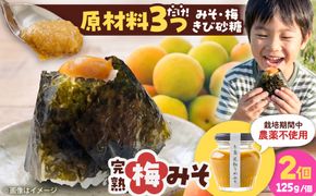 糸島完熟うめみそ2個セット 糸島市 / 糸島げんき工房[AKR004]