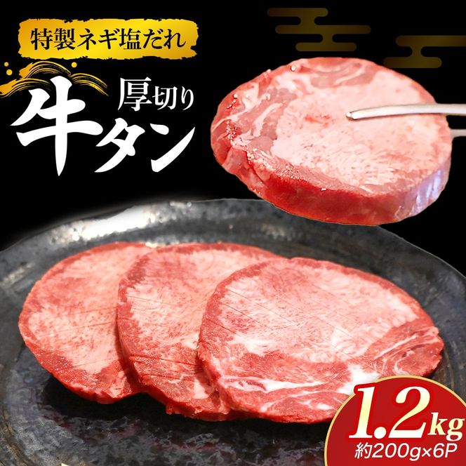 y{茧юszlM̌؂苍^ 1.2kg i  ^ ؂ ^  lM wV[ lC {茧j