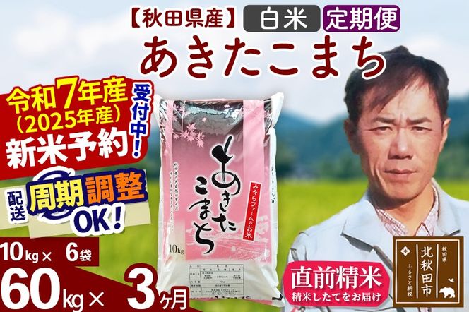 ※令和7年産 新米予約※《定期便3ヶ月》秋田県産 あきたこまち 60kg【白米】(10kg袋) 2025年産 お届け周期調整可能 隔月に調整OK お米 みそらファーム|msrf-11303