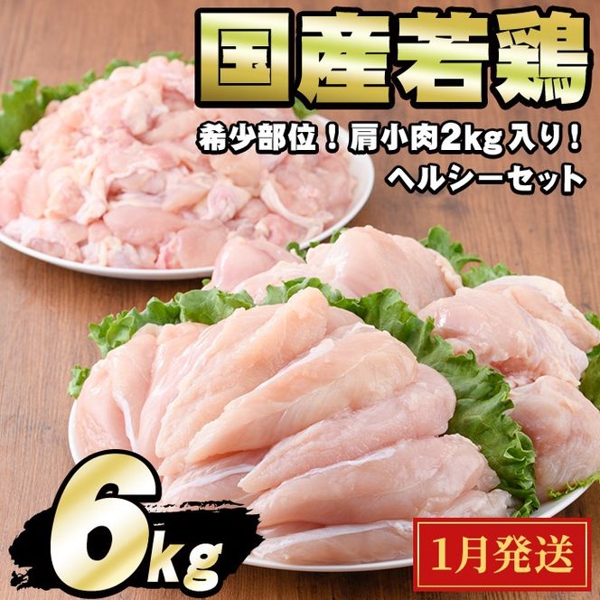 y̑Sǒzy0124806a-2601z2026N1\聄Y{wV[Zbg(v6kgElA݁A) {  Ƃ ނ˓   YyGrXz