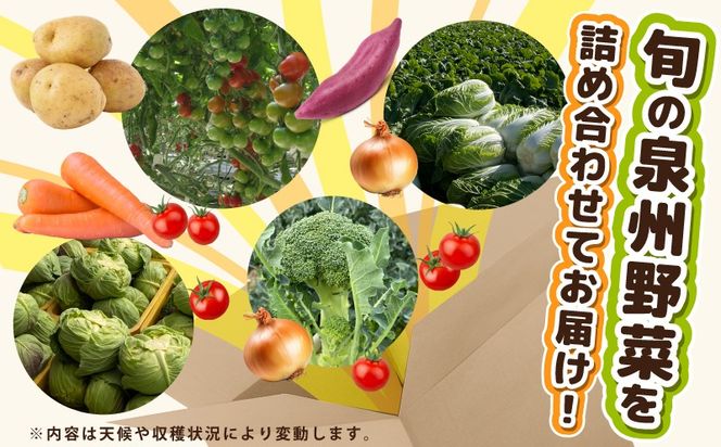 G3452 季節の野菜セット 2～7種類【国産 新鮮 おまかせ 詰め合わせ】