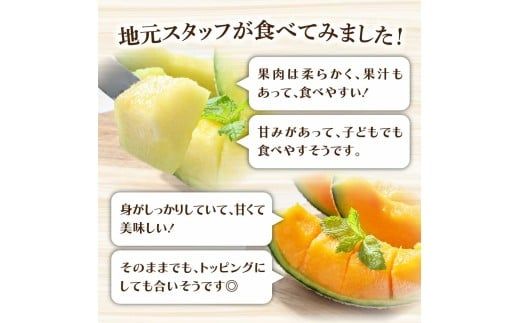 【先行予約】高級土佐アールスメロン2玉入り 〈2027年4月から配送開始〉メロン めろん 赤白セット 赤玉×白玉 3kg以上 舐瓜 果物 くだもの フルーツ デザート スイーツ おやつ 高級 常温 配送【有限会社サクセス】 [BQBA004]