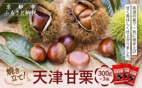 焼き立て! 天津甘栗300g×3袋｜京都 甘栗 人気［ 天津甘栗 自然な甘さ 自然食品 国内製造 おいしい グルメ 人気 おすすめ ギフト プレゼント 贈答 お取り寄せ 通販 送料無料 ふるさと納税 ］ 261009_A-AAE004
