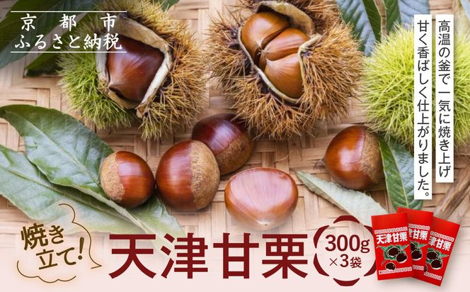 焼き立て! 天津甘栗300g×3袋｜京都 甘栗 人気［ 天津甘栗 自然な甘さ 自然食品 国内製造 おいしい グルメ 人気 おすすめ ギフト プレゼント 贈答 お取り寄せ 通販 送料無料 ふるさと納税 ］ 261009_A-AAE004
