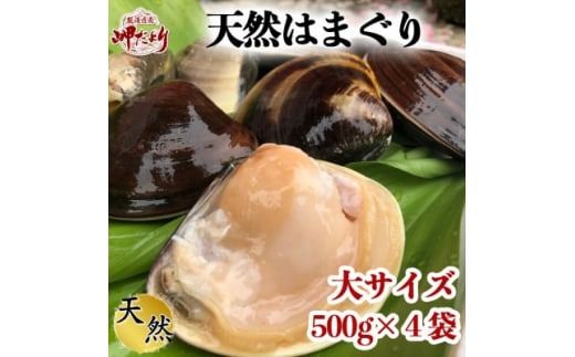 岬だよりの 希少 天然はまぐり 大サイズ 500g×4袋