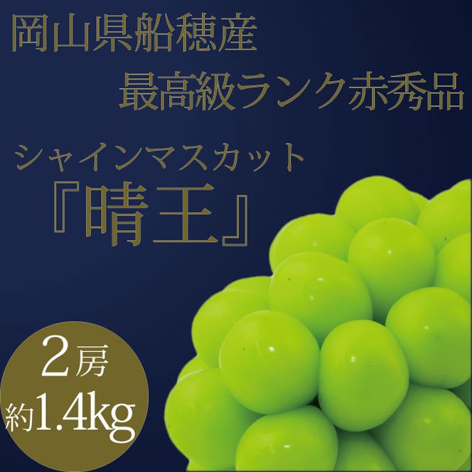 ぶどう 2026年 先行予約 9月・10月発送 高級品 シャインマスカット 晴王 2房 約1.4kg ブドウ 葡萄 岡山県産 船穂産 フルーツ 果物 ギフト