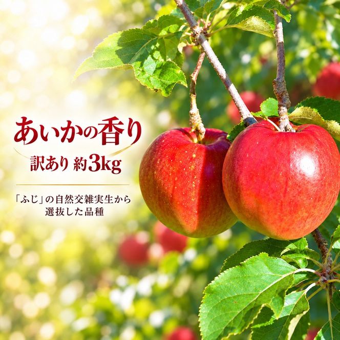 訳あり りんご 令和8年11月中旬発送 傷等訳あり・ご家庭用 甘い! 希少! 幻のりんご あいかの香り 約3キロ（りんご・リンゴ・林檎）伊那市 長野県 信州【010-e2】