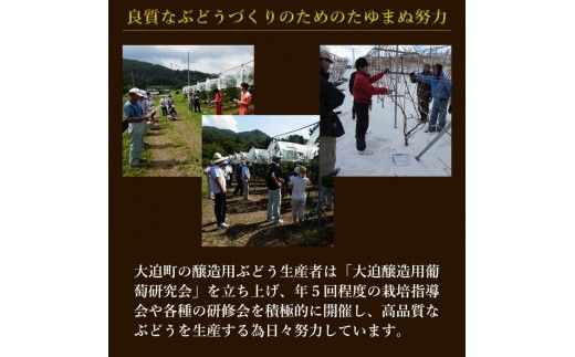 デザートワイン ゼーレオオハサマ リースリング・リオン 冷凍果汁仕込 375ml×1本 白 【箔押しギフトBOX入り】 エーデルワイン 【2142】