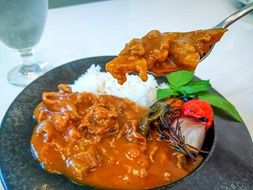 碧南DELIシリーズ お肉惣菜 無添加 とろける牛すじカレー 約800g(200g×4食) 洋食 カレー 国産 和牛 牛肉 中辛 野菜 煮込み　H080-066
