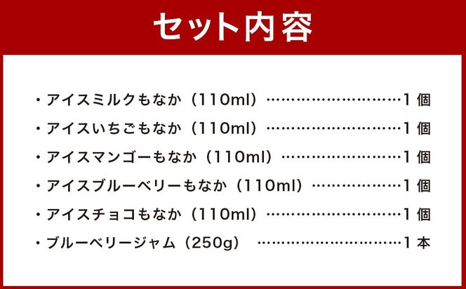 ＜自家製アイスクリームとブルーベリージャムのセット＞2か月以内に順次出荷【c593_sn_x3】 アイス ジャム セット ブルーベリー
