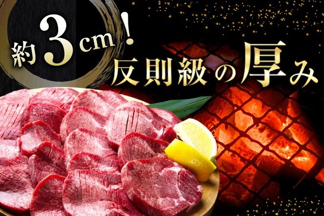 牛タン 厚切り 訳あり 塩味厚切り牛タン 500g 1P 計500g [上球磨農産 熊本県 五木村 51120347] 牛たん たん 塩牛タン 味付け肉 塩味 牛 牛肉 肉 焼肉 BBQ おすすめ 焼き肉 焼肉用 小分け 冷凍