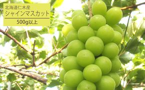 [先行受付] 北海道 仁木町産 厳選品 シャインマスカット1房（500g以上） 果物 ぶどう フルーツ 果物類 ブドウ マスカット [松山商店]