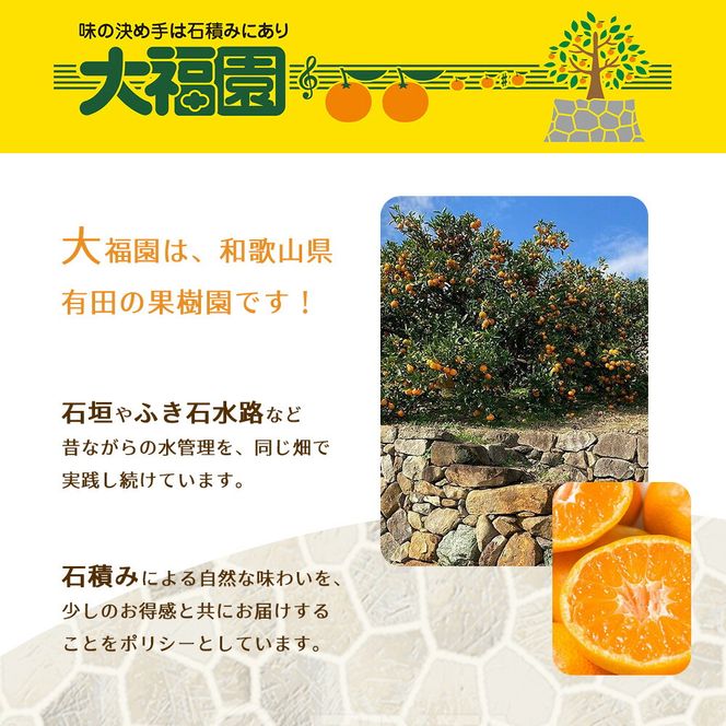 和歌山県有田産 みかん 約5kg L～Sサイズ（おまかせ）_BT6011n