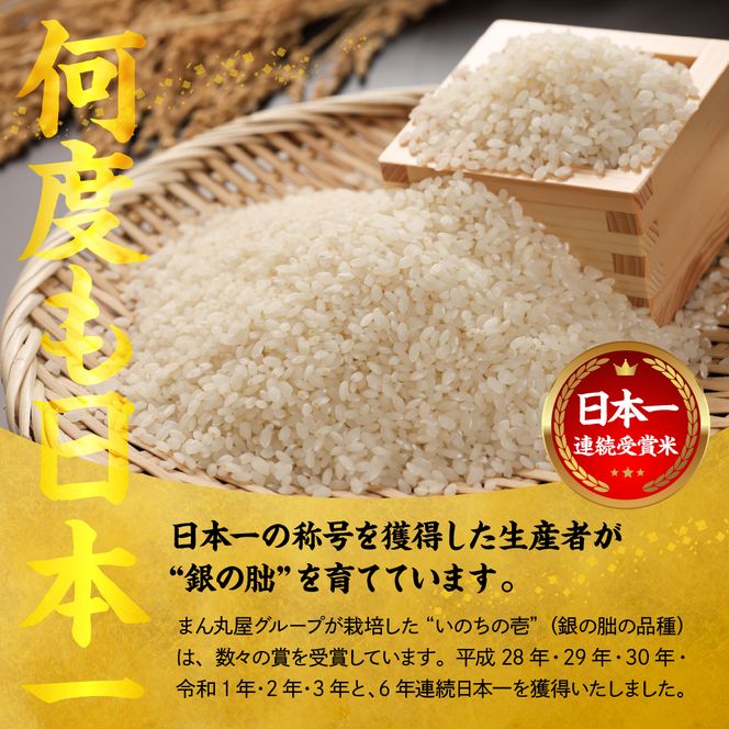 ＜テレビで紹介されました！＞令和8年度 新米 皇室献上米『銀の朏』10kg 中津川市加子母産 栽培期間中化学肥料不使用 米 お米 コメ ごはん ご飯 食品 F4N-2910