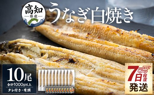 【7日程度で発送】うなぎ 国産 白焼き 1kg以上 10尾×100～130g 鰻 大容量 - 蒲焼き タレ付き 国産 鰻 ウナギ 有頭 ご飯のお供 早い スピード発送 7日程度 早く届く スピード配送 吉川水産 高知県 香南市 冷凍 yw-0082