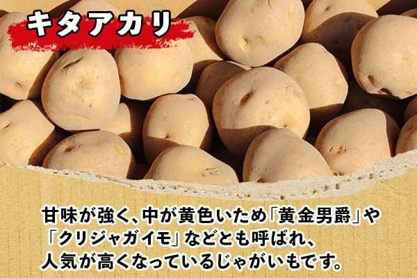 【CF】北海道 じゃがいも キタアカリ 10kg 北海道産 十勝産 きたあかり 北あかり ジャガイモ 芋 いも ポテト お取り寄せ まとめ買い 送料無料 十勝 士幌町【V04】