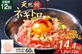 12回 定期便 天然 マグロ ネギトロ まぐろたたき 冷凍 60g 20個 計1.2kg [トライ産業株式会社 静岡県 吉田町 22424397] 小分け 個包装 まぐろのたたき 鮪 まぐろ ネギトロ丼 ねぎとろ マグロたたき