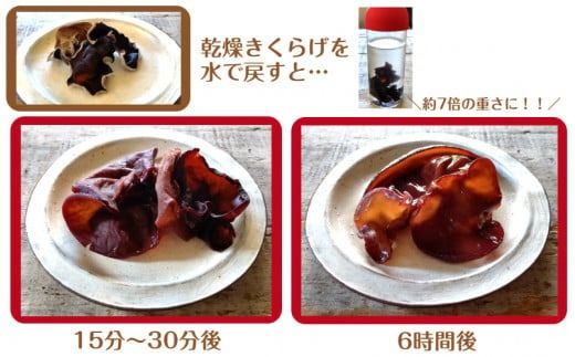 【数量限定】希少！純国産！乾燥きくらげ 35ｇ×6袋_1838R