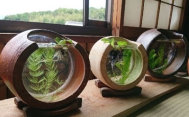 【東児の花窯】備前焼　めだか鉢　ベージュ　緋襷（ひだすき） 民芸品 工芸品 インテリア 