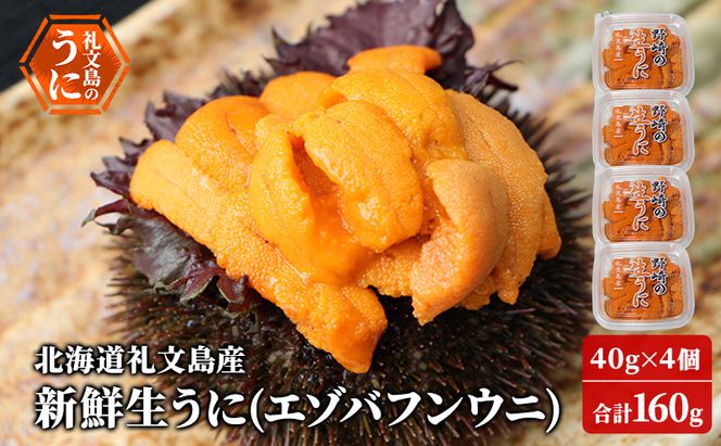 北海道 礼文島産 新鮮生うに エゾバフンウニ 40g×4パック［野崎水産］【 うに ウニ 雲丹 生うに バフンウニ 素材本来の味 海鮮 うに丼 甘み 産地直送 】