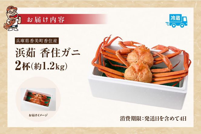 【香住ガニ 釜茹で ボイル 大きめ 約600g×2匹（約1.2kg以上）冷蔵】大人気 人気 ランキング おすすめ 国産 しゃぶ かにみそ かにすき かに鍋 カニの本場 香住 兵庫県 香美町  注意書きの確認を必ずお願いします  ベニズワイガニ かに 蟹  むき身 爪 脚 日本海フーズ 07-01 ☆