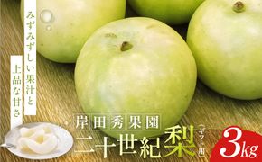 【2026年8月下旬より発送】岸田秀果園 二十世紀梨 (ギフト用)3kg 313726_CY001