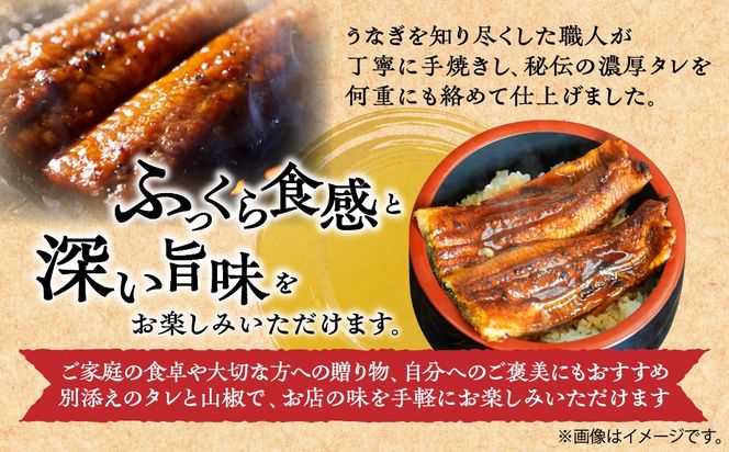 【お試し用】【特大うなぎ蒲焼】老舗寿司屋の職人仕込み 300g×2枚 BRTAD001-1