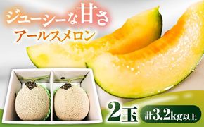【2026年7月下旬～発送】アールスメロン 2玉 約3.2kg / メロン めろん 果物 フルーツ / 南島原市 / うえだメロン園[SAD011]