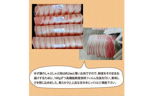 【CF-R7hbk】GRS001　【高知のブランド豚/ゆず豚】しゃぶしゃぶセット500g（約2人前）- 豚肉 しゃぶしゃぶ 豚しゃぶ 豚バラ 豚バラ ロース 豚バラスライス 国産 肉 ギフト・熨斗対応可 贈答