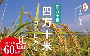 24-947．【令和6年産新米・6回定期便】四万十産 四万十米（コシヒカリ）10kg（5kg×2袋）×6回（計60kg）