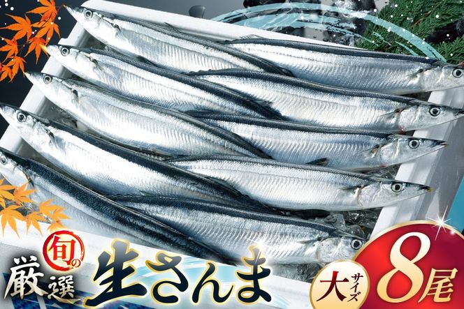 【期間限定発送】生 さんま 8尾 大サイズ [阿部長商店 宮城県 気仙沼市 20566343] 魚 サンマ 秋刀魚 生鮮 鮮魚 季節限定