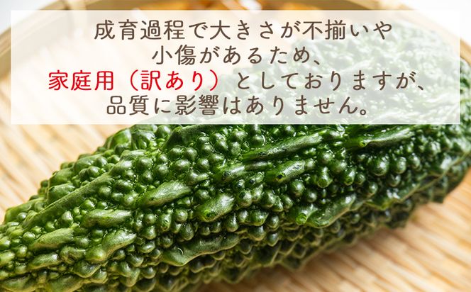 【2026年10月以降発送】ゴーヤ １ｋｇ 家庭用 yr-0073