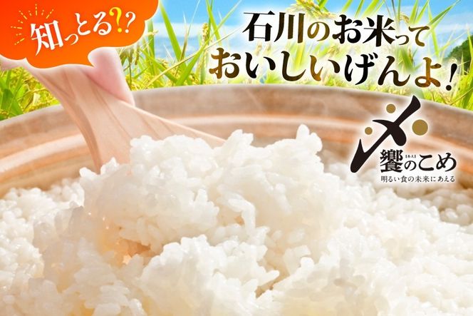 米 定期便 無洗米 ひゃくまん穀 5kg × 12回 総計60kg [中橋商事株式会社 石川県 宝達志水町 38601384] お米 コメ こめ kome ごはん 無洗 定期 12ヶ月 ひゃくまんごく 5キロ 能登