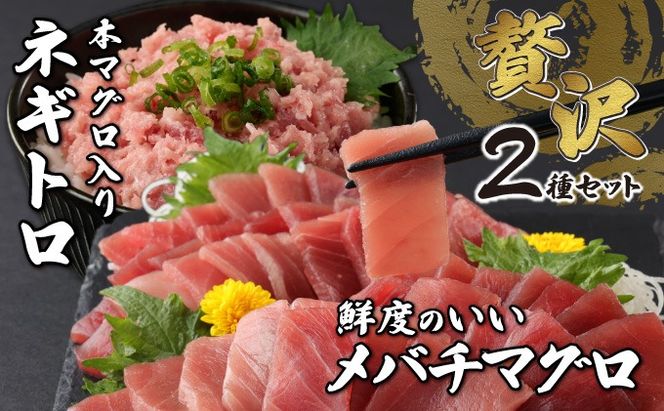 【お手軽まぐろセット】 メバチマグロ切落し と 本まぐろ入りネギトロセット 660ｇ　切り落とし ネギトロ 本まぐろ 刺身 お刺し身 本マグロ 小分け メバチマグロ 鮪 ねぎとろ マグロタタキ 赤身 10000円 1万円 手巻き寿司 海鮮丼 魚介類 魚 まぐろのたたき 惣菜 冷凍 tk089