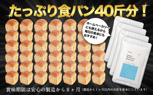 北海道産 「春よ恋」「ゆめちから」ブレンド小麦粉 パウダースノー（パン用強力粉）10kg MROBI012